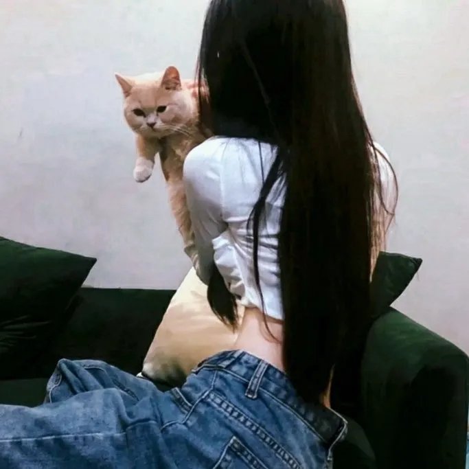 蝴蝶公墓